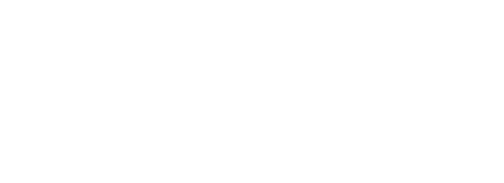 NFFS_full_wit